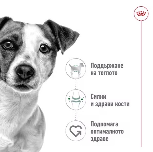 Royal Canin Dog Adult Mini - Пълноценна суха храна за кучета от дребни породи от 10 месеца до 8 години